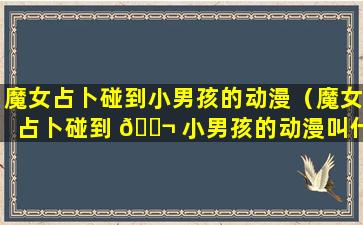 魔女占卜碰到小男孩的动漫（魔女占卜碰到 🐬 小男孩的动漫叫什么）